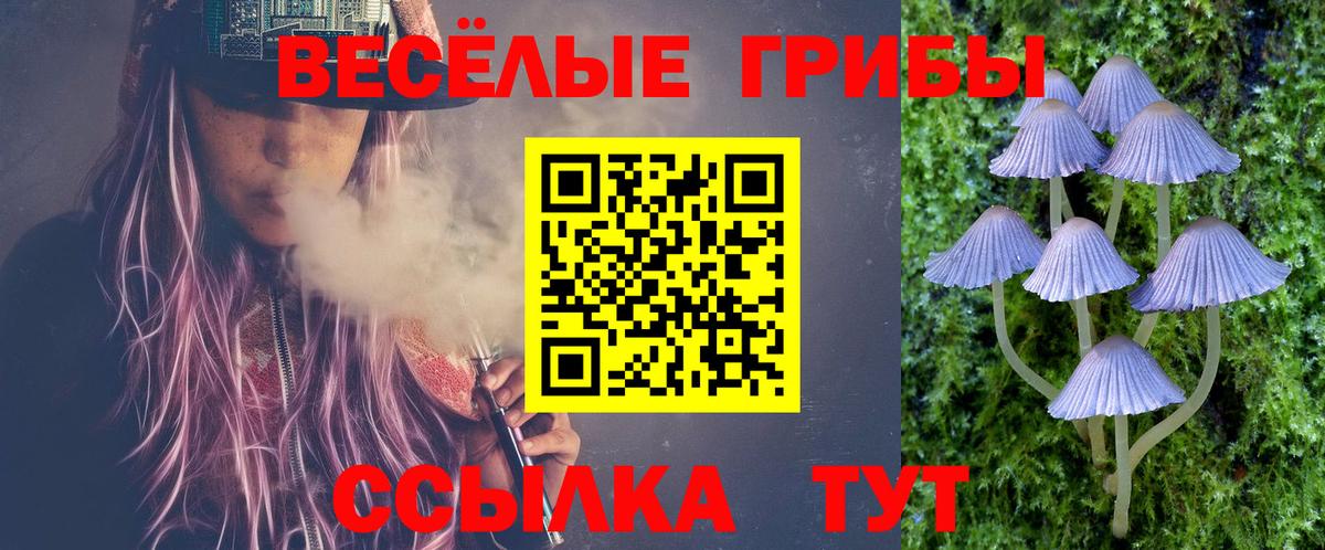 как найти   Псилоцибиновые грибы мухоморы  Вход с VPN  Абакан  Галлюциногенные грибы прущие грибы 